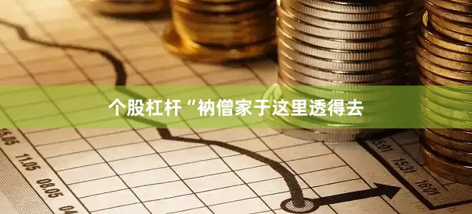 个股杠杆“衲僧家于这里透得去