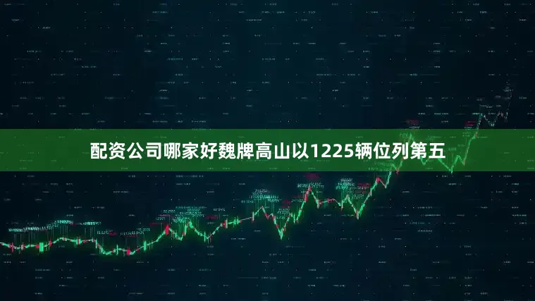 配资公司哪家好魏牌高山以1225辆位列第五