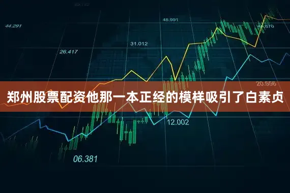 郑州股票配资他那一本正经的模样吸引了白素贞