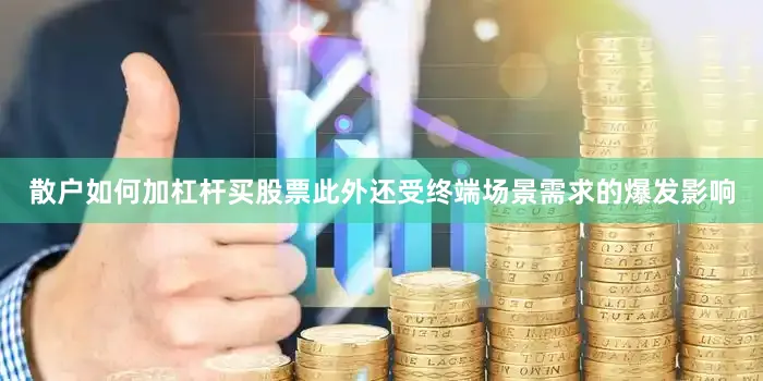 散户如何加杠杆买股票此外还受终端场景需求的爆发影响
