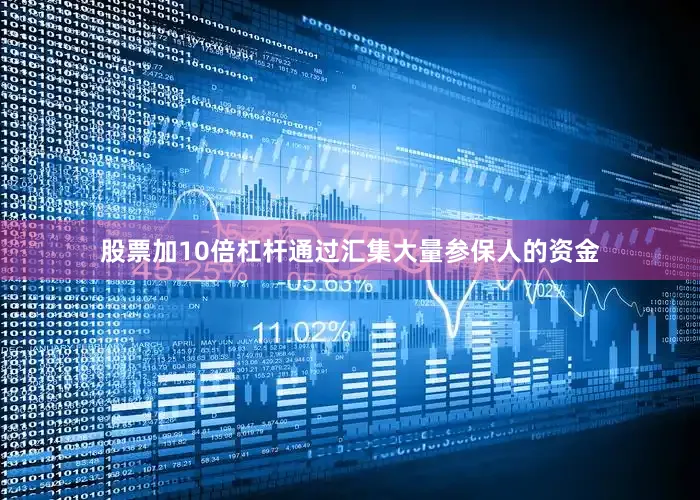 股票加10倍杠杆通过汇集大量参保人的资金