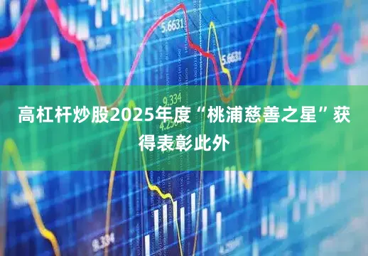 高杠杆炒股2025年度“桃浦慈善之星”获得表彰此外