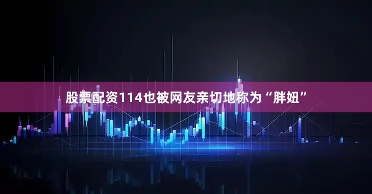 股票配资114也被网友亲切地称为“胖妞”